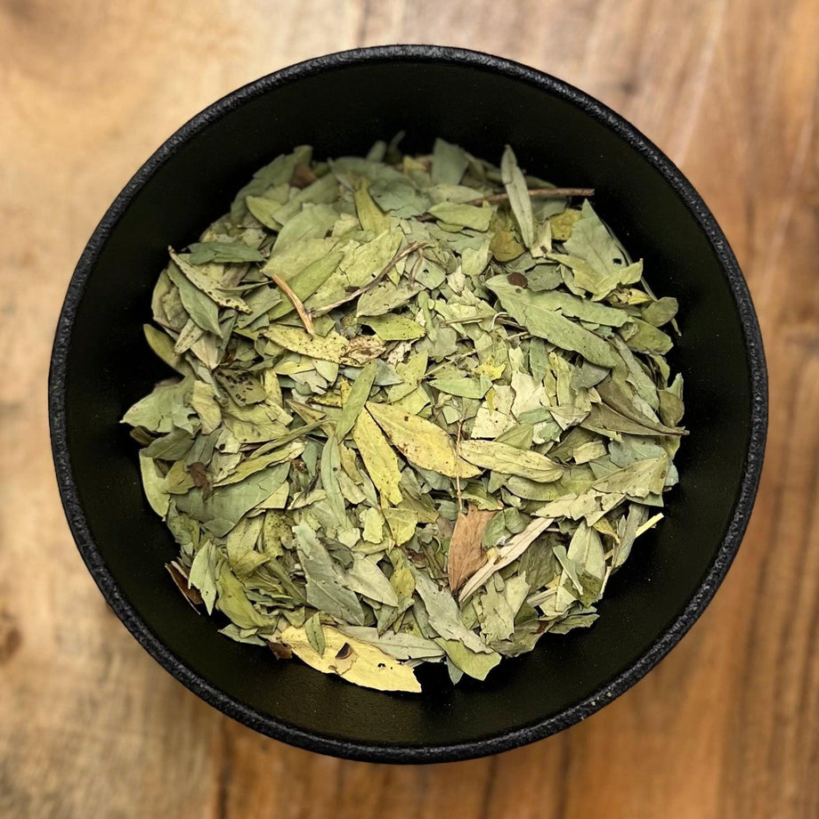 Senna-Leaf-Whole-Senna-Alexandrina_460x@2x