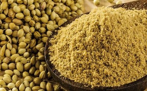 WhatsApp Image 2023-08-10 at 1.35.06 PM